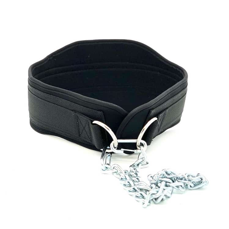 Pioneer Nylon Dip Belt