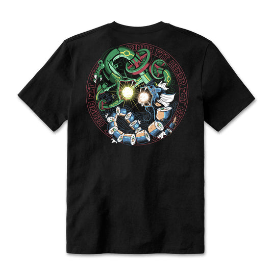 Kinda Fit Kinda Fat Wheyquaza vs Gyarolldos Tee